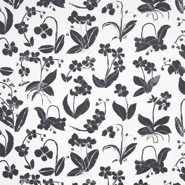 Orchids Have Dreams wallpaper in soft black by Hera Ford for Schumacher, featuring large-scale painterly orchid silhouettes on a white background.