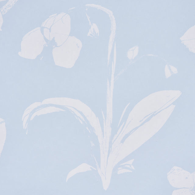 Orchids Have Dreams Sky by Hera Ford Painterly Floral Wallpaper – Schumacher 5014101