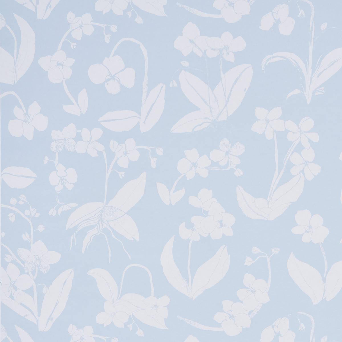 Orchids Have Dreams wallpaper in sky blue by Hera Ford for Schumacher, featuring large-scale painterly orchid silhouettes.