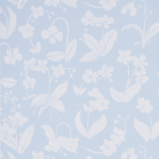 Orchids Have Dreams wallpaper in sky blue by Hera Ford for Schumacher, featuring large-scale painterly orchid silhouettes.