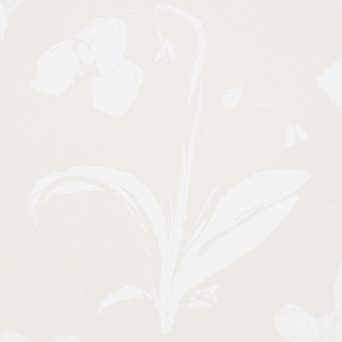 Orchids Have Dreams Light Neutral by Hera Ford Painterly Floral Wallpaper – Schumacher 5014102