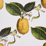 Le Citron Ivory by Johnson Hartig Botanical Lemon Wallpaper – Schumacher 5014280