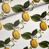 Le Citron Ivory by Johnson Hartig Botanical Lemon Wallpaper – Schumacher 5014280