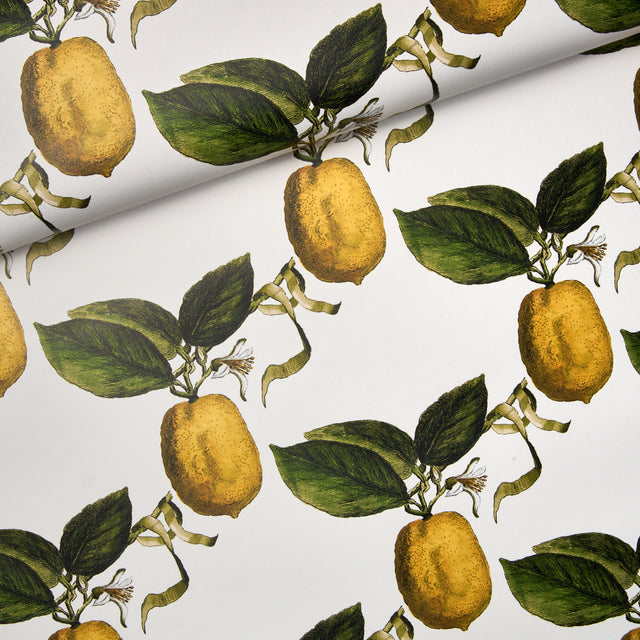Le Citron Ivory by Johnson Hartig Botanical Lemon Wallpaper – Schumacher 5014280