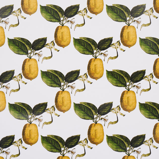 Le Citron Ivory wallpaper by Johnson Hartig for Schumacher, featuring a whimsical lemon and leafy lattice pattern.