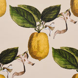 Le Citron Natural by Johnson Hartig Botanical Lemon Wallpaper – Schumacher 5014282