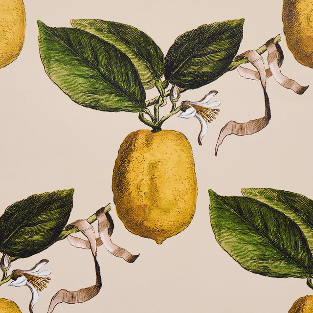 Le Citron Natural by Johnson Hartig Botanical Lemon Wallpaper – Schumacher 5014282