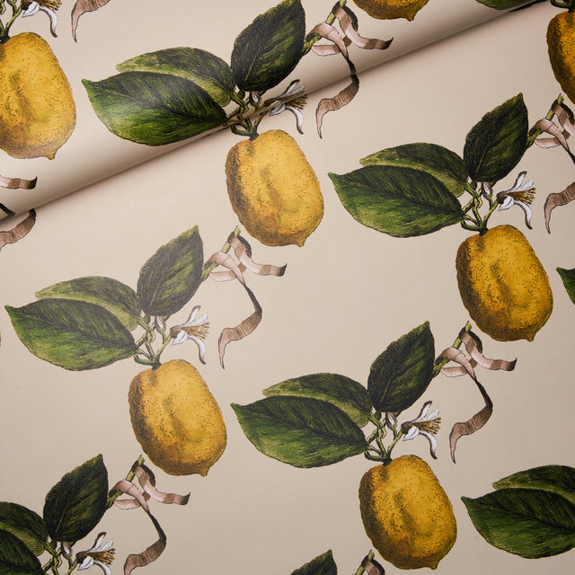 Le Citron Natural by Johnson Hartig Botanical Lemon Wallpaper – Schumacher 5014282