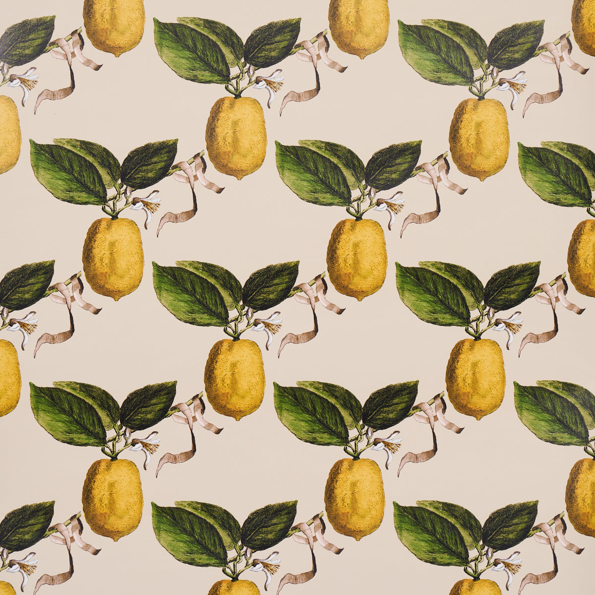 Le Citron wallpaper in natural by Johnson Hartig for Schumacher, featuring a whimsical lattice of leafy lemons and ribbon accents on a neutral background.