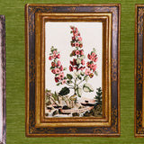 Le Grand Tour English Green by Johnson Hartig Eclectic Gallery Wallpaper – Schumacher 5014292