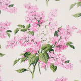 Proust's Lilacs Pink Floral Wallpaper by Johnson Hartig – Schumacher 5014312