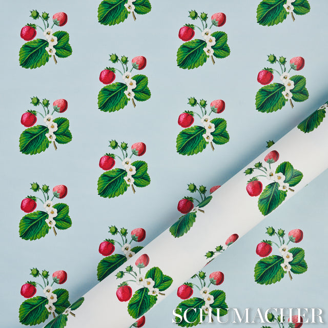 Strawberry Hill White Botanical Wallpaper by Schumacher – Johnson Hartig 5014320