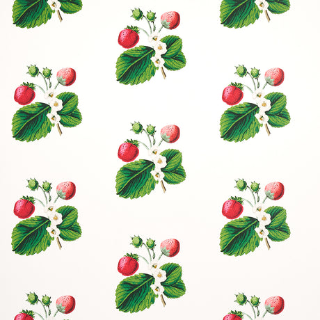 Strawberry Hill wallpaper in white by Schumacher, featuring a botanical strawberry and leaf pattern designed by Johnson Hartig.
