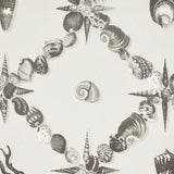Grotto Treillage Grisaille by Charlap Hyman & Herrero Shell Trellis Wallpaper – Schumacher 5014491