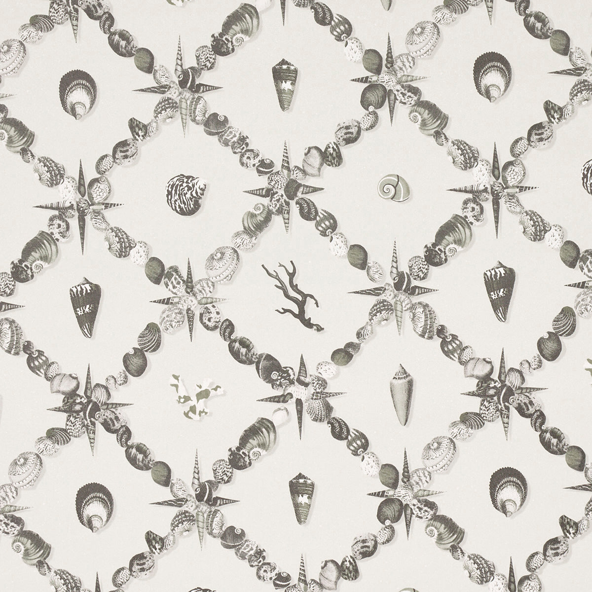 Grotto Treillage wallpaper in Grisaille by Charlap Hyman & Herrero for Schumacher, featuring a collage of shells and marine motifs in a trellis pattern.