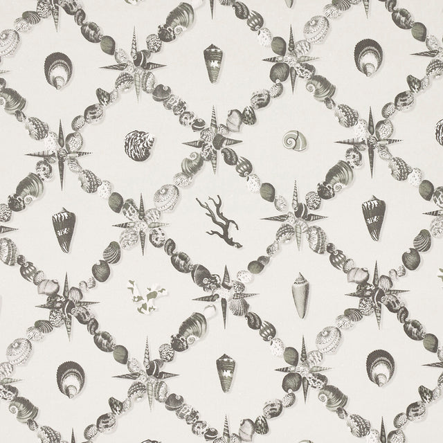 Grotto Treillage wallpaper in Grisaille by Charlap Hyman & Herrero for Schumacher, featuring a collage of shells and marine motifs in a trellis pattern.
