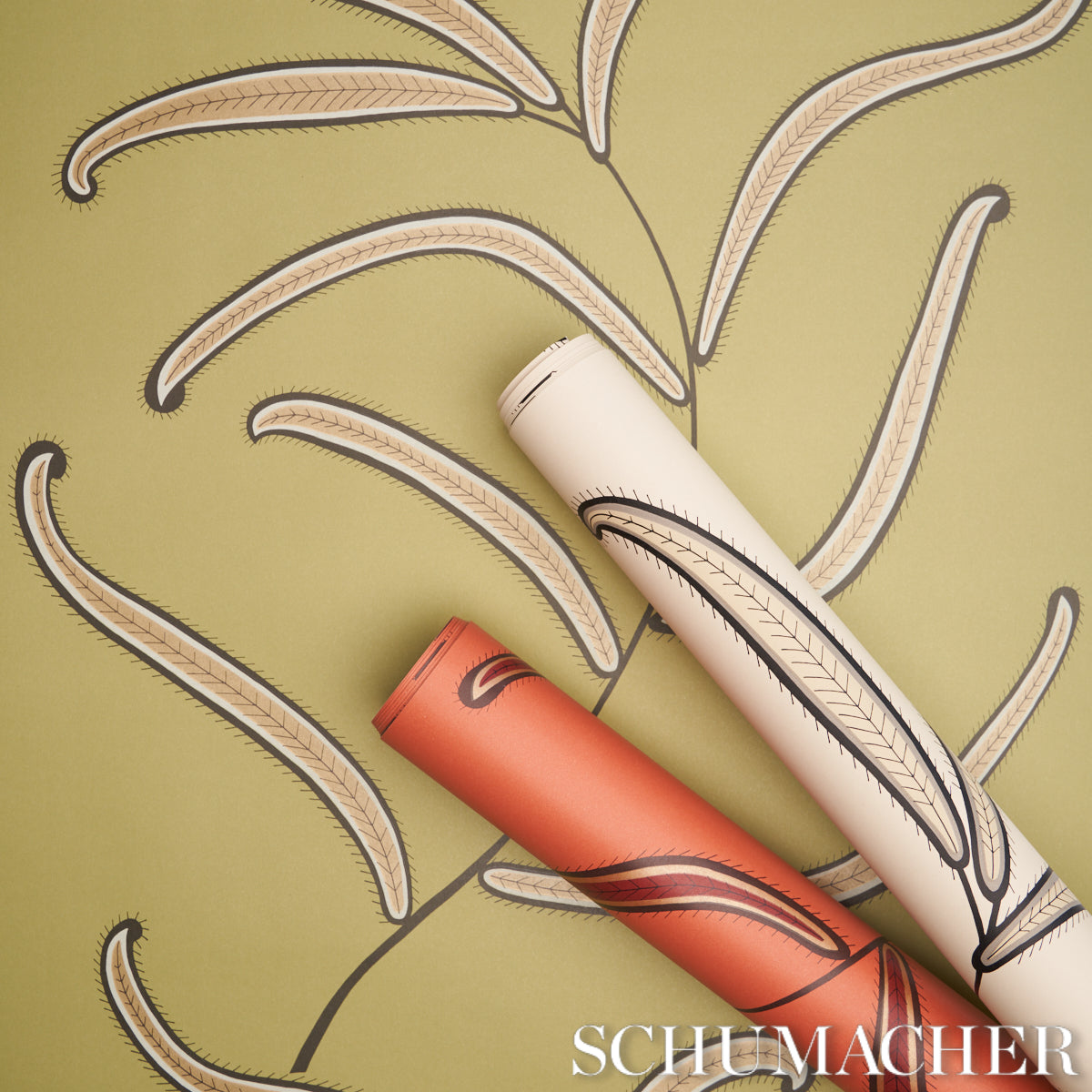 Caterpillar Leaf Black and Cream by Neisha Crosland Botanical Wallpaper – Schumacher 5014530