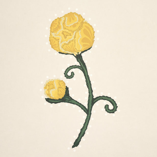 Rhinestone Cowboy Bright Yellow by Schumacher Floral Wallpaper – Schumacher 5014581