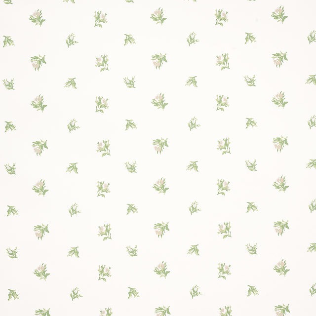 Margie Floral wallpaper in Gris by Schumacher, featuring a delicate small-scale rosebud pattern in green and white.