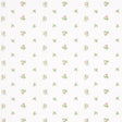 Margie Floral wallpaper in rose by Schumacher, featuring a delicate small-scale rosebud pattern on a white background.
