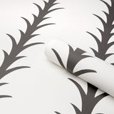 Acanthus Stripe Carbon on Ivory by Schumacher Modern Classic Wallpaper – 5014773
