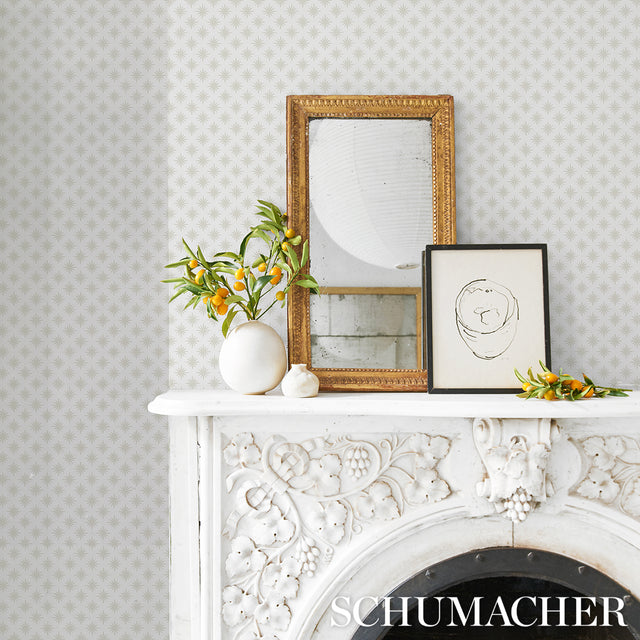 Star Anise Mink by Neisha Crosland Schumacher Wallpaper – Schumacher 5014940
