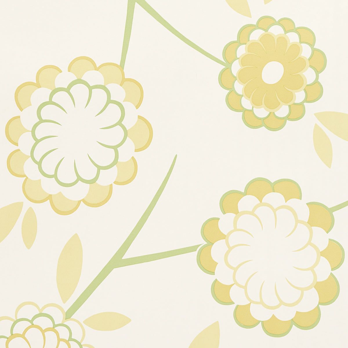 Birdtree Mimosa by Neisha Crosland for Schumacher. Large-scale modern floral wallpaper in yellow and green on white background.
