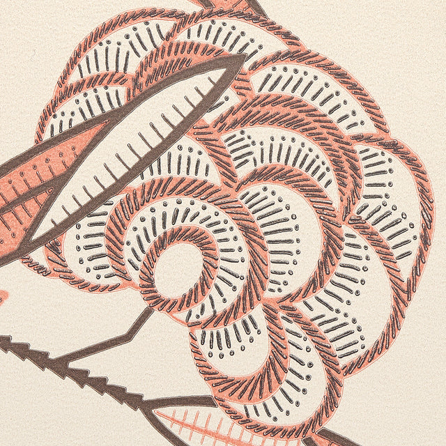 Jacob's Tree Old Rose by Neisha Crosland Modern Jacobean Magnolia Wallpaper – Schumacher 5015030