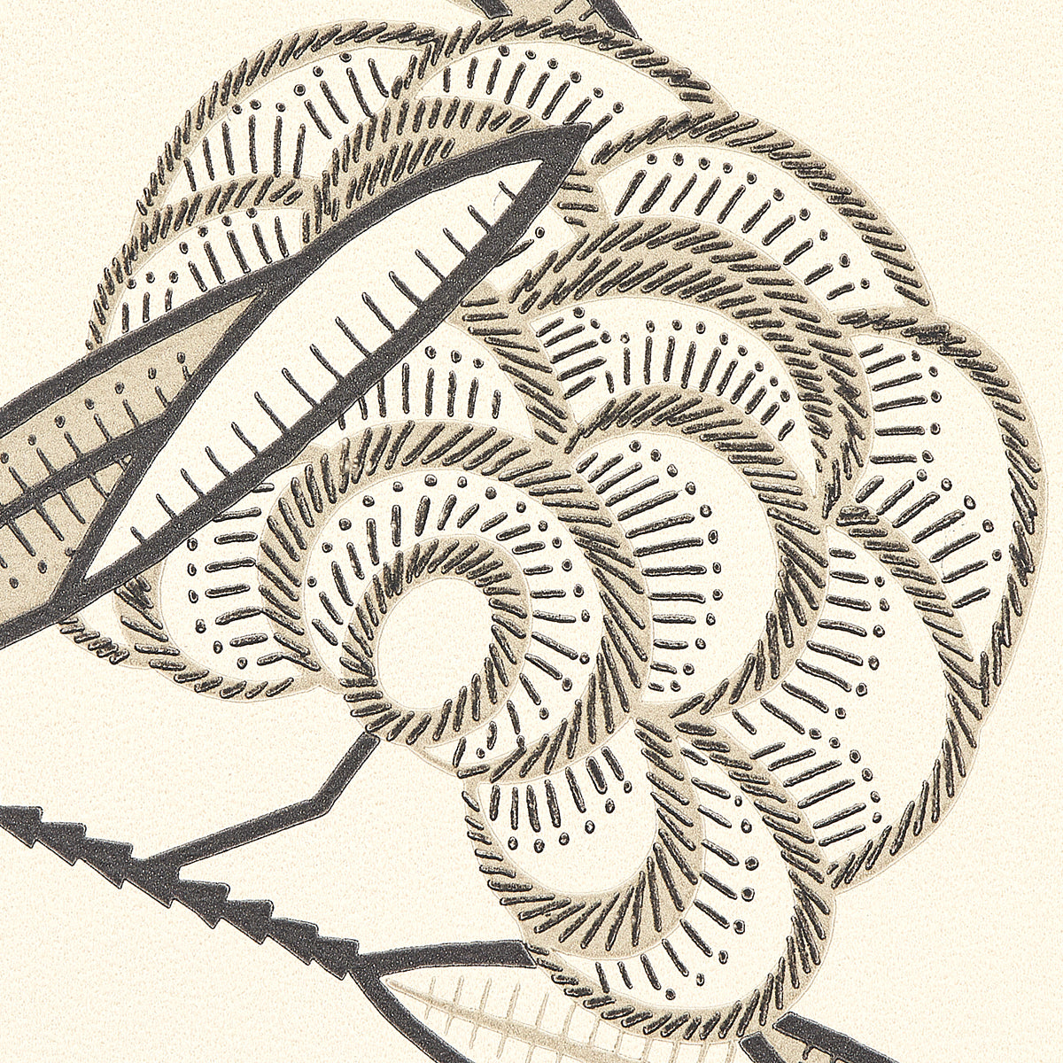 Jacob's Tree Black & Cream by Neisha Crosland Modern Tree of Life Wallpaper – Schumacher 5015031