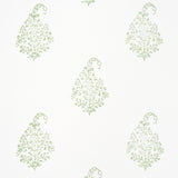 Kerala Paisley II Leaf by Schumacher Jacaranda Collection Green Paisley Wallpaper – Schumacher 5015210