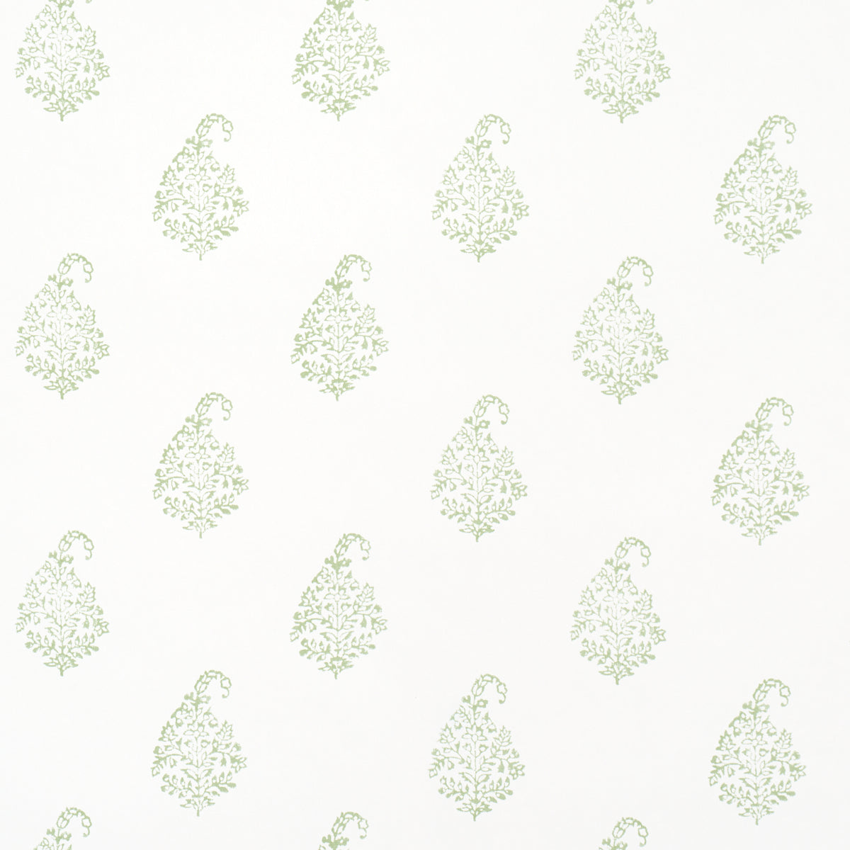 Kerala Paisley II wallpaper in Leaf by Schumacher, featuring classic tear-shaped paisleys in a small-scale green pattern on white.