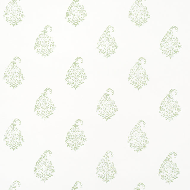 Kerala Paisley II wallpaper in Leaf by Schumacher, featuring classic tear-shaped paisleys in a small-scale green pattern on white.