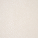 Fickle Texture Ivory by Celerie Kemble for Schumacher, a luxe, enlarged shagreen pattern wallpaper in a neutral ivory colorway.