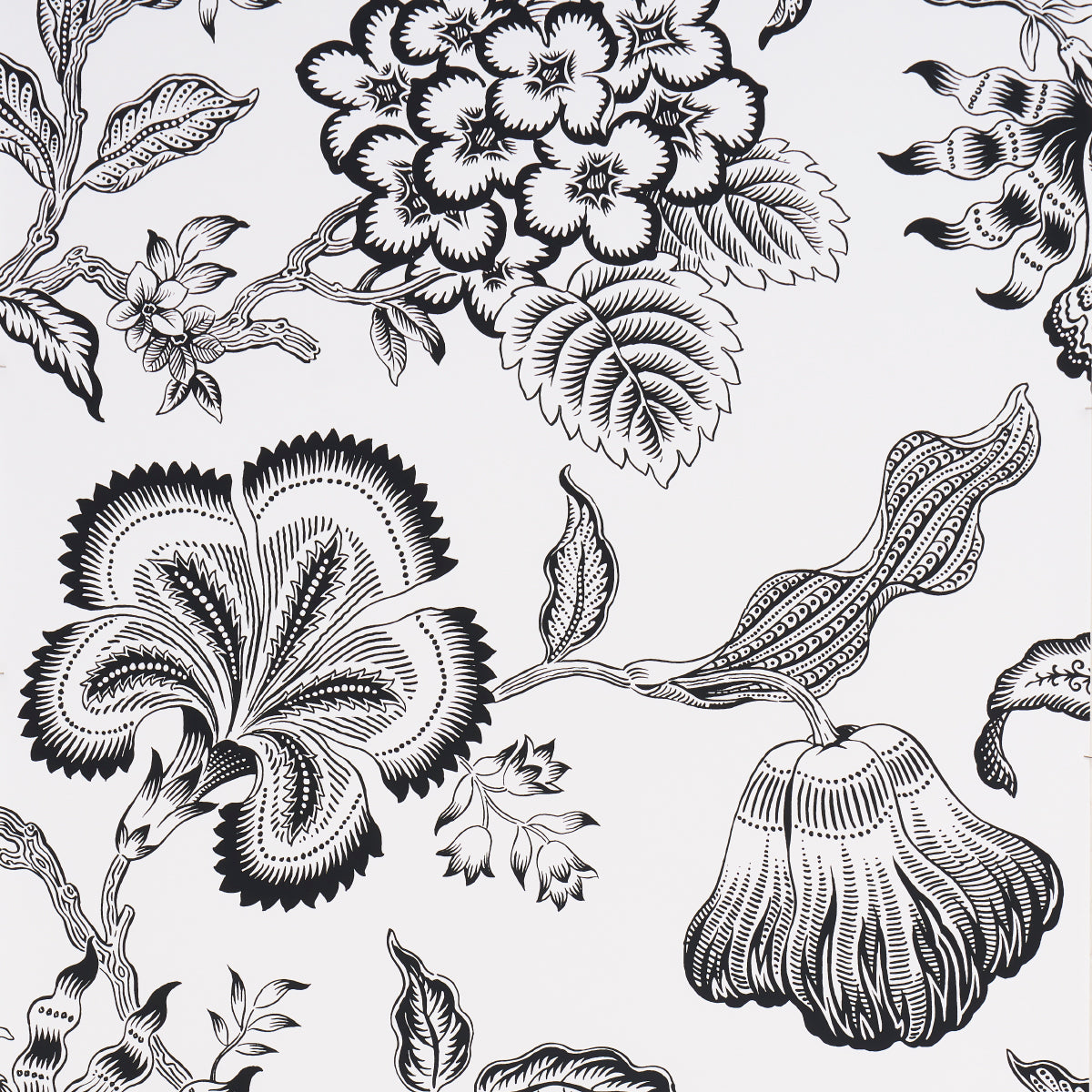 Hothouse Flowers Silhouette wallpaper in black and white by Celerie Kemble for Schumacher, featuring a large-scale floral vine pattern.