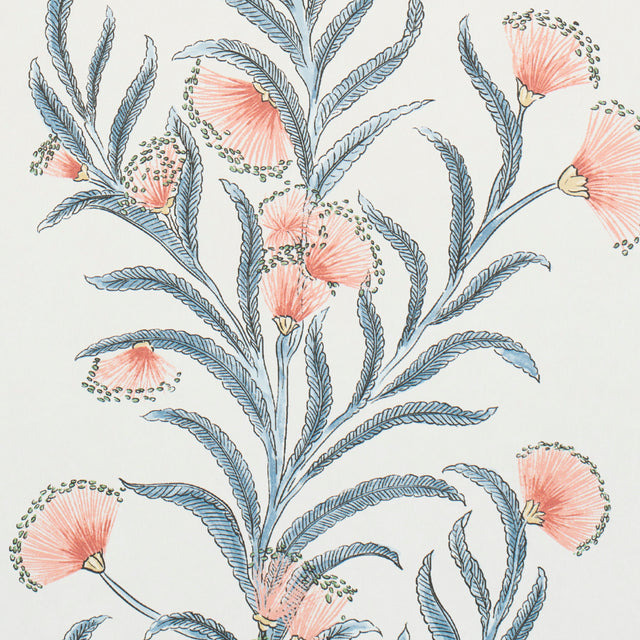 Tasmanian Mimosa Pink & Grey Botanical Stripe Wallpaper by Celerie Kemble – Schumacher 5015360