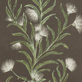 Tasmanian Mimosa Brown & Green by Celerie Kemble Botanical Stripe Wallpaper – Schumacher 5015361