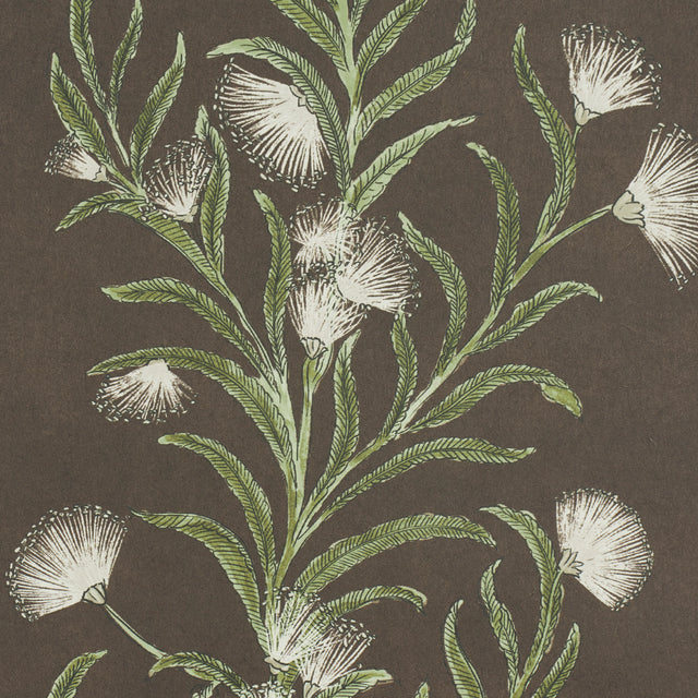 Tasmanian Mimosa Brown & Green by Celerie Kemble Botanical Stripe Wallpaper – Schumacher 5015361