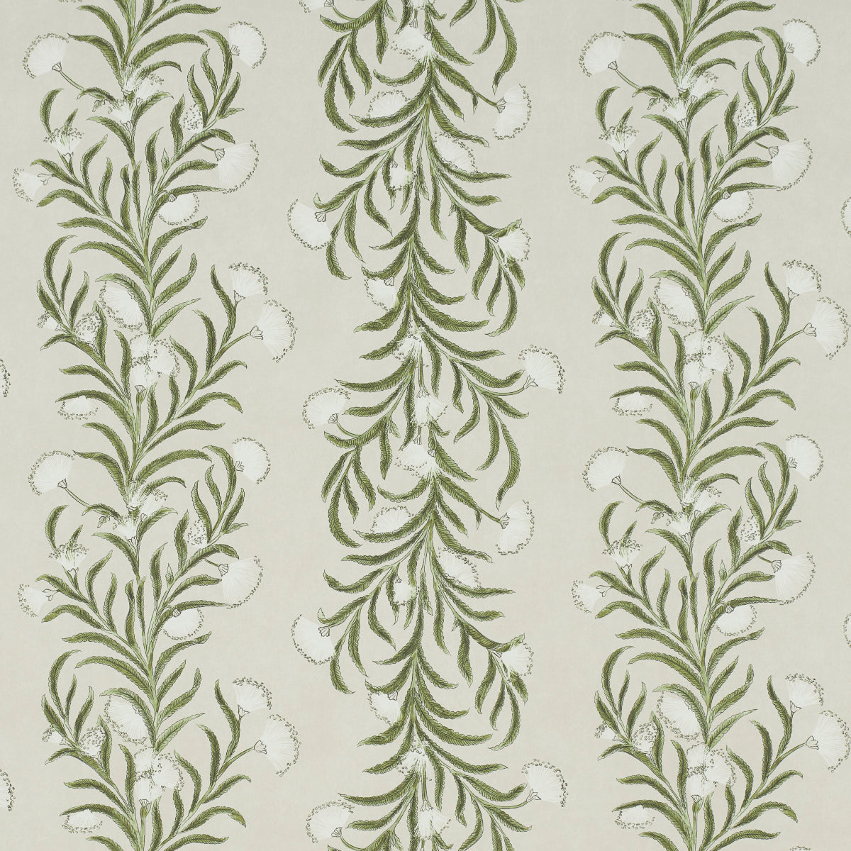 Tasmanian Mimosa wallpaper by Celerie Kemble for Schumacher, featuring a large-scale botanical stripe in ivory and green.