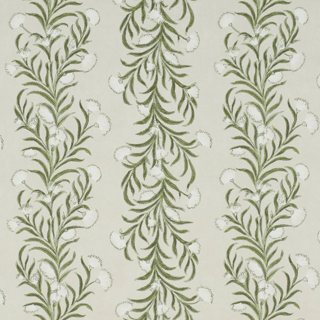 Tasmanian Mimosa wallpaper by Celerie Kemble for Schumacher, featuring a large-scale botanical stripe in ivory and green.