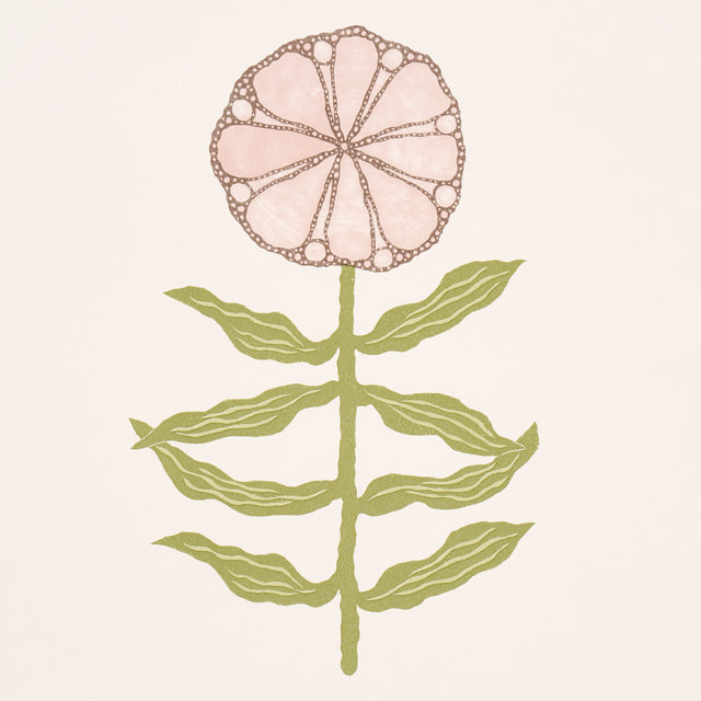 Pretty Petals Blush by Marian McEvoy Large-Scale Floral Wallpaper – Schumacher 5015451