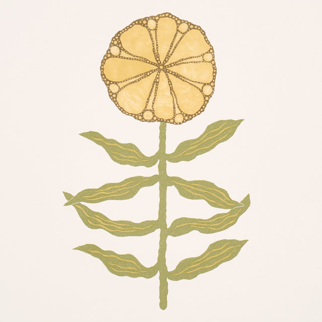 Pretty Petals Soft Yellow by Marian McEvoy Floral Wallpaper – Schumacher 5015452