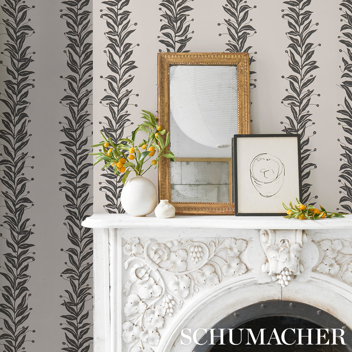 Tendril Stripe Black & Cream by Marian McEvoy Botanical Wallpaper – Schumacher 5015490