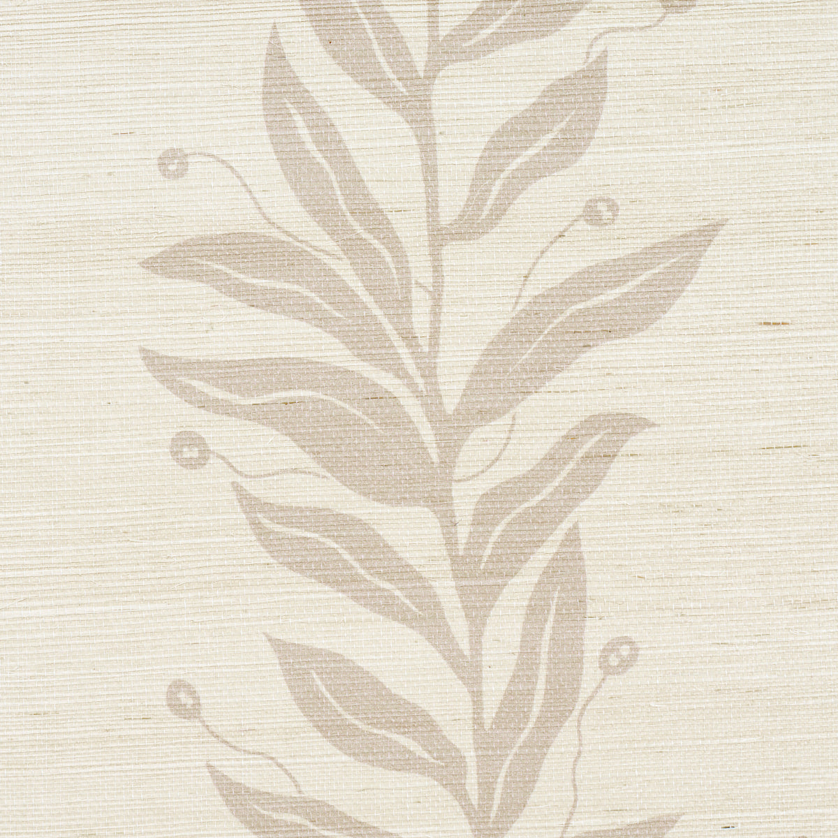 Tendril Stripe Sisal Natural by Schumacher Botanical Vine Wallpaper – Schumacher 5015561