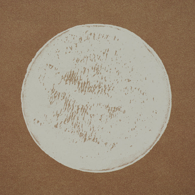 Monte Carlo Earthy Brown by Schumacher Modern Polka Dot Wallpaper – Schumacher 5015591