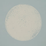 Monte Carlo Soft Blue by Backdrop Large-Scale Polka Dot Wallpaper – Schumacher 5015592