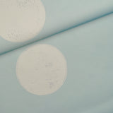 Monte Carlo Soft Blue by Backdrop Large-Scale Polka Dot Wallpaper – Schumacher 5015592
