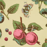 Berry Grove Butter Botanical Fruit Wallpaper – Schumacher 5015650