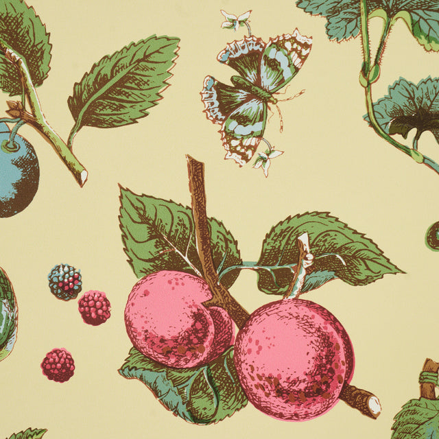Berry Grove Butter Botanical Fruit Wallpaper – Schumacher 5015650