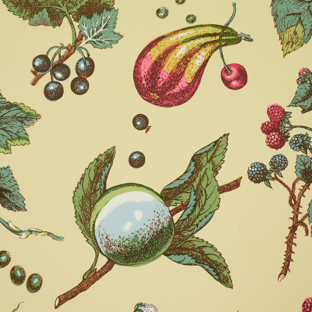 Berry Grove Butter Botanical Fruit Wallpaper – Schumacher 5015650