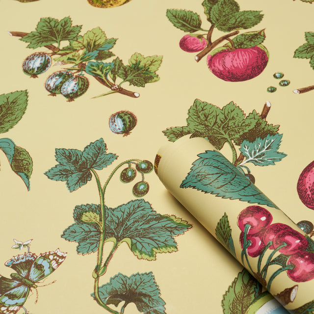 Berry Grove Butter Botanical Fruit Wallpaper – Schumacher 5015650